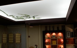 Двухуровневый светопрозрачный потолок с фотопечатью